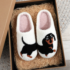 Dachshund Cotton Slippers